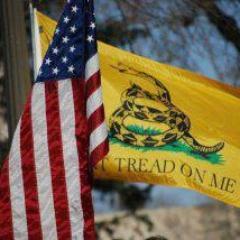 Conservative Patriot, III% , Vets , 22 Until None , NASA, History, Music, Movies, Fishing, Hunting, Camping, University of  Alabama Sports, All Things Vintage.