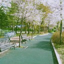 장미 (@580116j) Twitter
