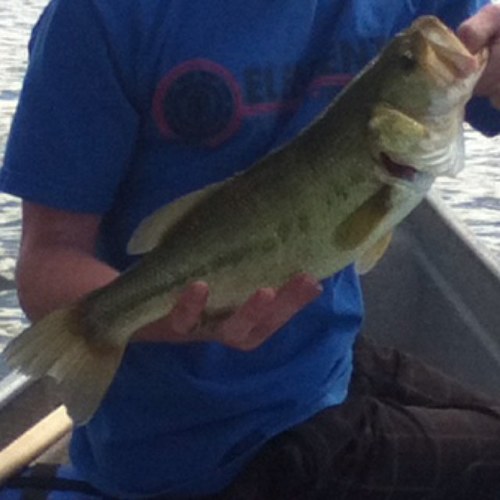 RiverFishingFun On YouTube!