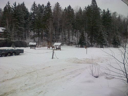 tinytowngourmet's profile picture. Owner of a a general store in a small town in Quebec, I support the military, and strive to make make my world a better place.