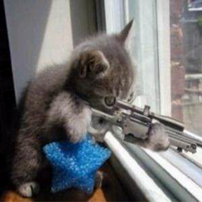 狙撃猫 Mors333 Twitter