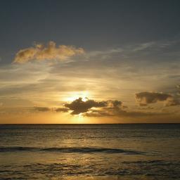 jenniep124's profile picture. 