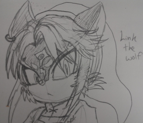 TwilightSilent's profile picture. No time for talk, but if I must. My name is Link, I am the Hero of Time and Beholder of the Triforce of courage! |RP|