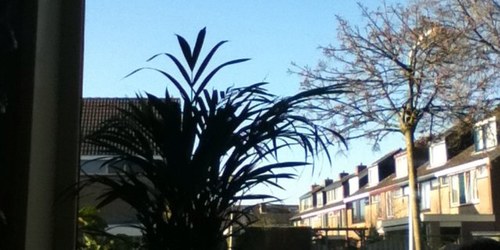 GuusOomen's profile picture. 