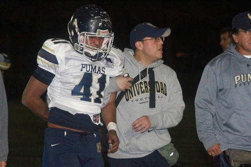 aoyamatake's profile picture. 