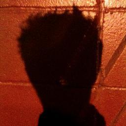 BachusD's profile picture. 