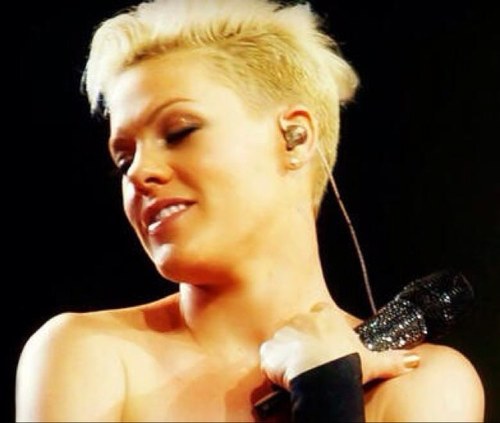 rachfan's profile picture. I am the master horse whisperer, and a proud gay Army vet. Pink stole my heart-Maddow is my hero.