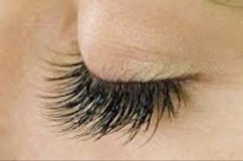 Victoria_Lashes's profile picture. Ah Francis individual lash extensions, manicure and pedicure, shellac.