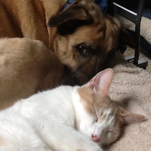 KarenCecilg3468's profile picture. 