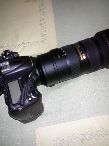 cashbrozovahoez's profile picture. BOH ......FYPM MONEY GANG...... GAMMA NU THETA ... TOP 10