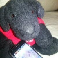 Mongodog (@mongodogtx) 's Twitter Profile