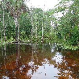 antelmasoares's profile picture. #timbeta