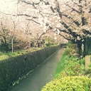 Eunice Joo - @_eunii - Twitter