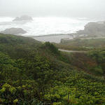 sutrobaths's profile picture. Formerly the largest bathhouse in the world, now modern ruins on the edge of the continent. Maintained by @jillcorral.