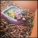 Ralph shell - @RealistTortz - Twitter