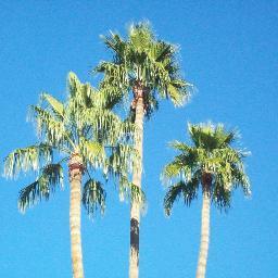 LisawriterHill's profile picture. writing, editing, teaching