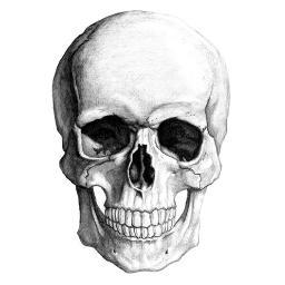 Extreme Music.
Blog paraguayo dedicado al metal sin compromisos.