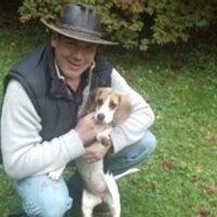 Paul House (@paulhouse7) 's Twitter Profile
