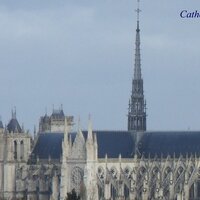 Damien DeBouvre (@debouvre) 's Twitter Profile