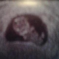 babyvivwobbe's profile picture. 