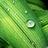 LaFrase_Directa's profile image