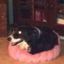 Terri Richardson - @TerriRichards18 - Twitter