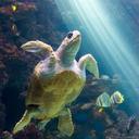 Raimundo delgado ro - @raimundodelgad1 - Twitter