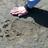 GravinA2's profile image
