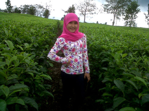 sayang ibu, ayah, kakak , adik ,, keluarga semuanya... :)