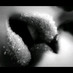 ممحونه تبوك  (@ahooda32) Twitter profile photo