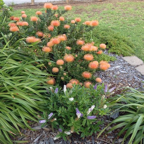 bmoss1sm's profile picture. 