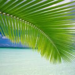 EliVieito's profile picture. Docente en E. Media y Formación Docente.  Promuevo la  Democracia y los DDHH en todos los ámbitos de  trabajo.  Estudio Ciencias de la Comunicación.