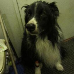 machinenoise's profile picture. 