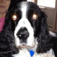 keith bondy (@cookmax) 's Twitter Profile