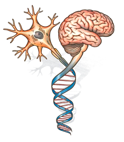 UofTNeuroSurge Profile Picture