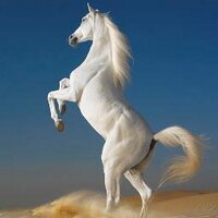 mustafa kemalbüberci (@mkemal1993) Twitter profile photo