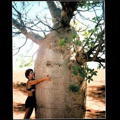 Profile Picture of Down Under All Over (@Bert3663) on Twitter