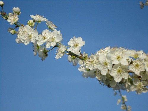 CatherineN007's profile picture. If in doubt, smile; it's all a load of nonsense anyway! :-)