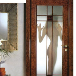 dveripeterburga's profile picture. #двери петербурга межкомнатные и входные двери