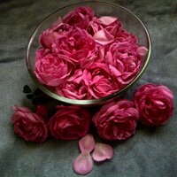 AM̷̜̌̋oOoŁ  (@hobalrooh) Twitter profile photo