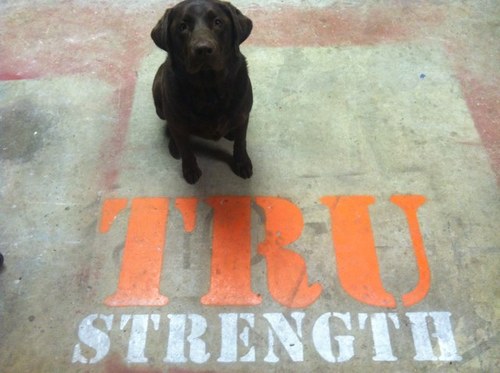 TRU_StrengthFab's profile picture. 