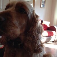 Ella Dunne (@ellajdunne) 's Twitter Profile