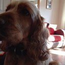 Ella Dunne - @ellajdunne - Twitter