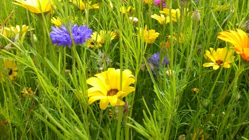 GemsStory's profile picture. 