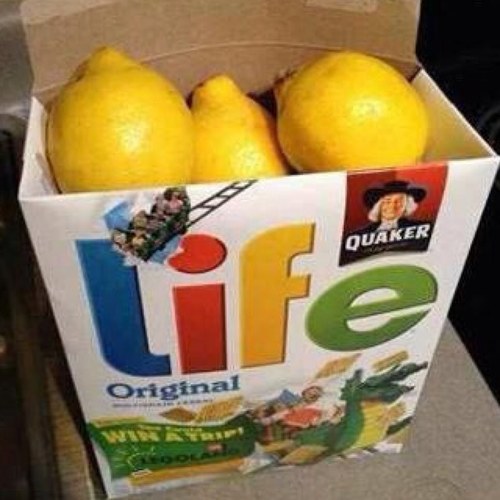 mahan_el's profile picture. 