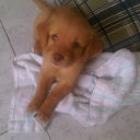 leida hernandez - @leidaher - Twitter