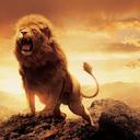 Chase Carroll - @robdawgcarroll - Twitter