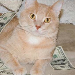 Lives in a super secret lair at 13625 U.S. Highway 61 in Tunica, Mississippi. Enjoys pooping on all the stuff you like.