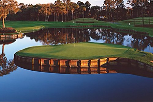 Notourius1's profile picture. 