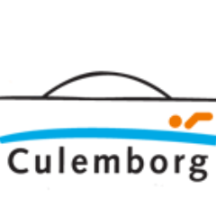 Onstaan als burgerinitiatief, ingegeven door  gemeentelijke bezuinigingsronde in 2013 toont dit project de burgerkracht tot behoud van een zwembad in Culemborg.